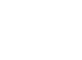 logo-vb
